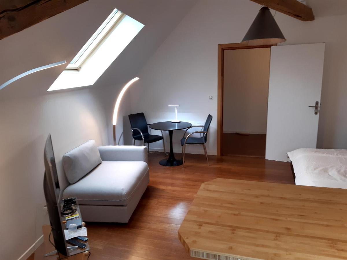 Loft Studio Avec Charme Et Authenticite Altkirch Kültér fotó