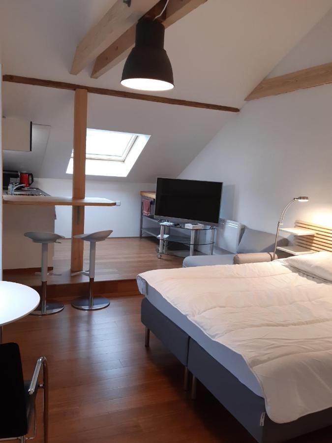 Loft Studio Avec Charme Et Authenticite Altkirch Kültér fotó