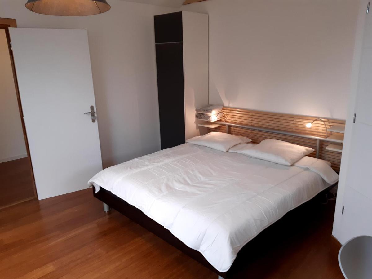Loft Studio Avec Charme Et Authenticite Altkirch Kültér fotó