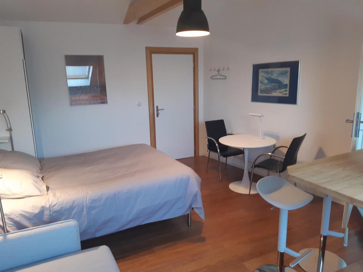 Loft Studio Avec Charme Et Authenticite Altkirch Kültér fotó